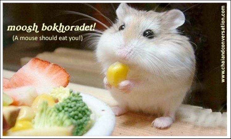 A mouse next to the phrase "A mouse should eat you!"