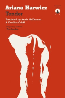 The cover of Tender by Ariana Harwicz, translated by Annie McDermott and Carolina Orloff
