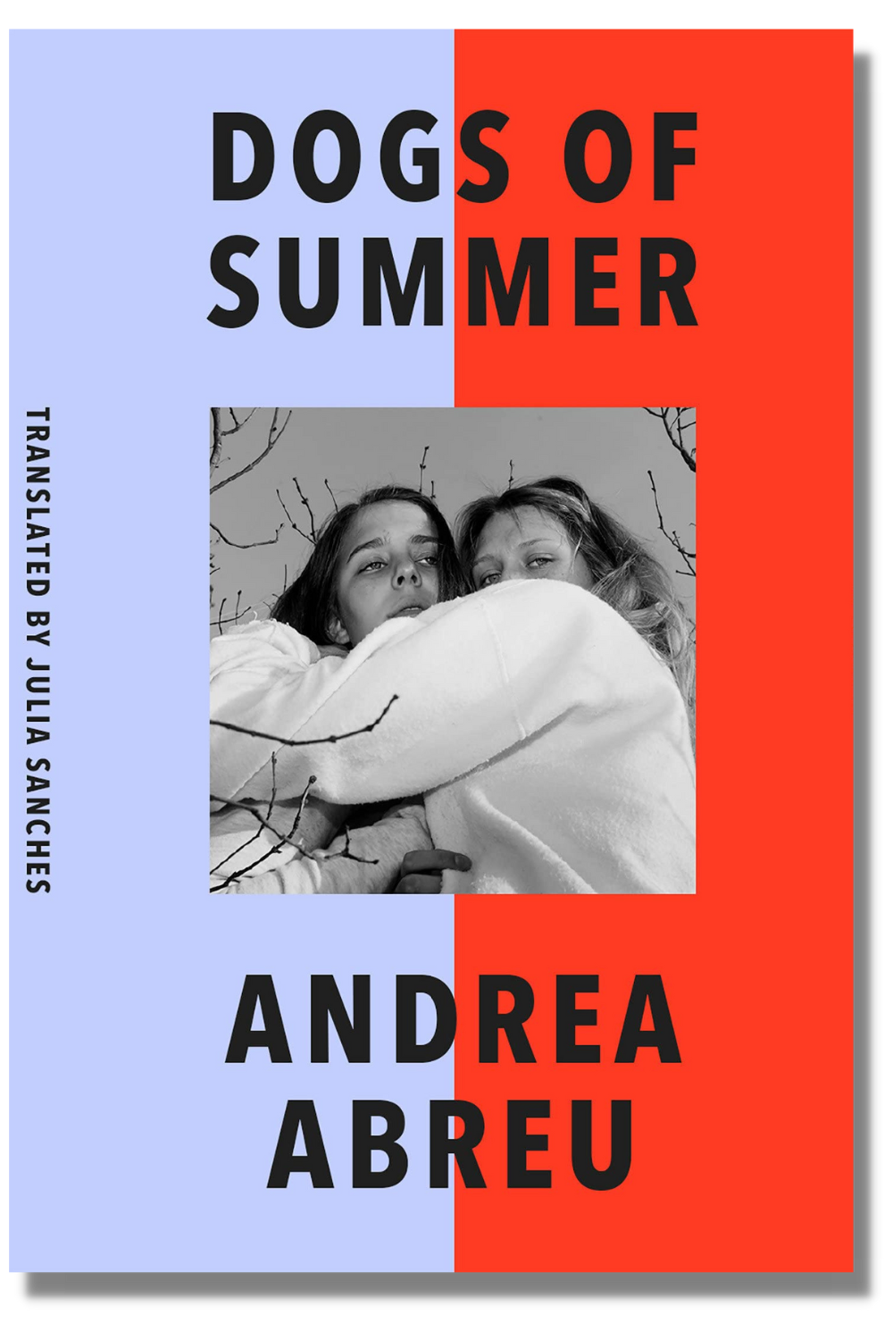 The cover of Andrea Abreu's "Dogs of Summer," tr. Julia Sanches