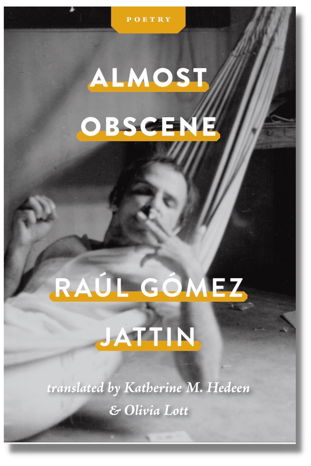 The cover of "Almost Obscene"