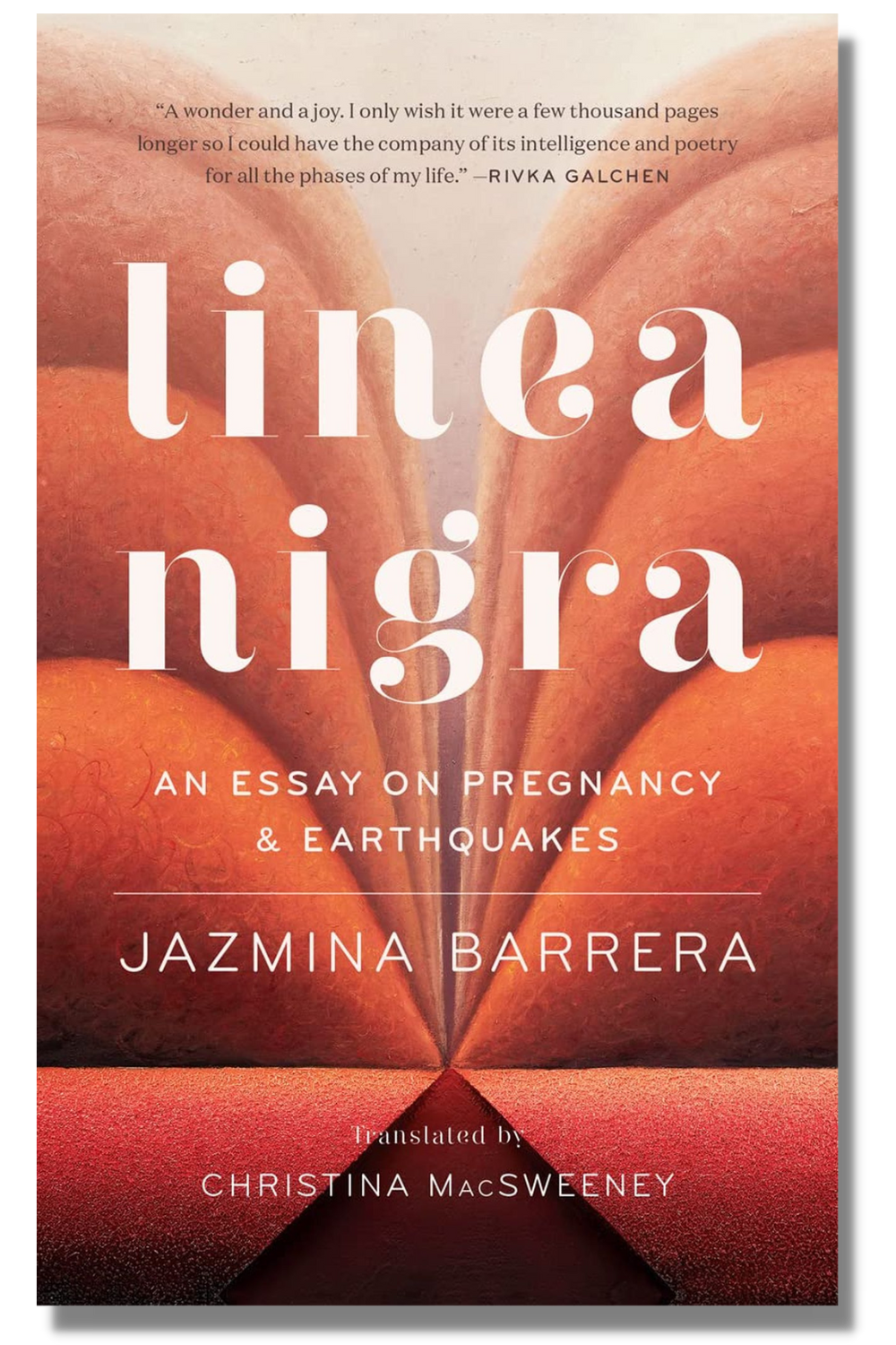 The cover of "Linea Nigra"