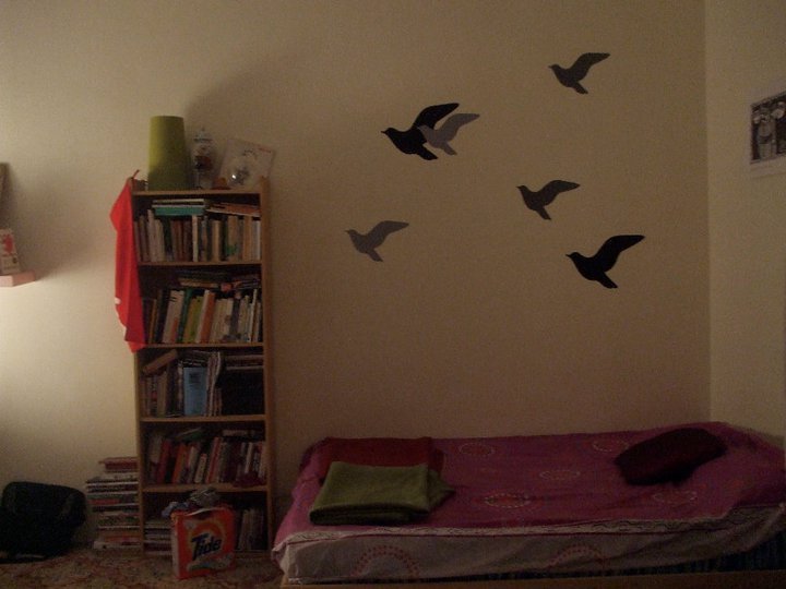 An apartment bedroom with a bed, bookshelf, and bird decals on the wall