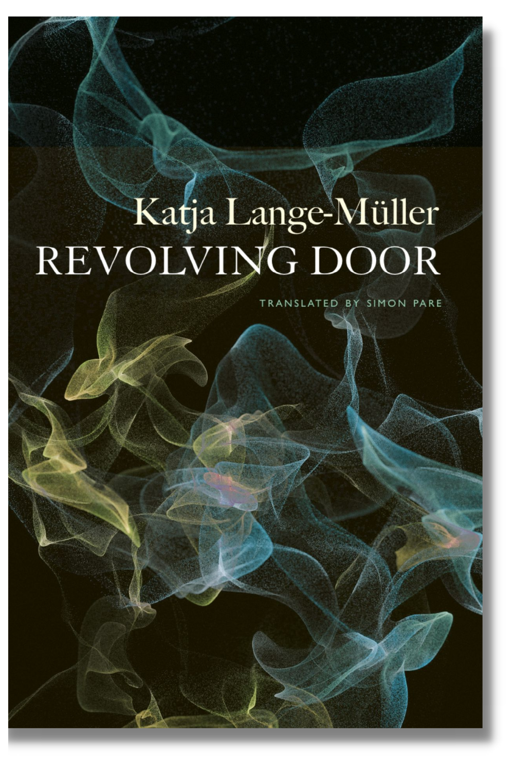 The cover of "Revolving Door"