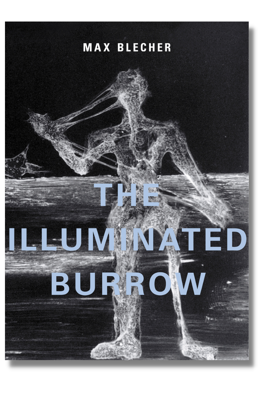 The cover of "The Illuminated Burrow"