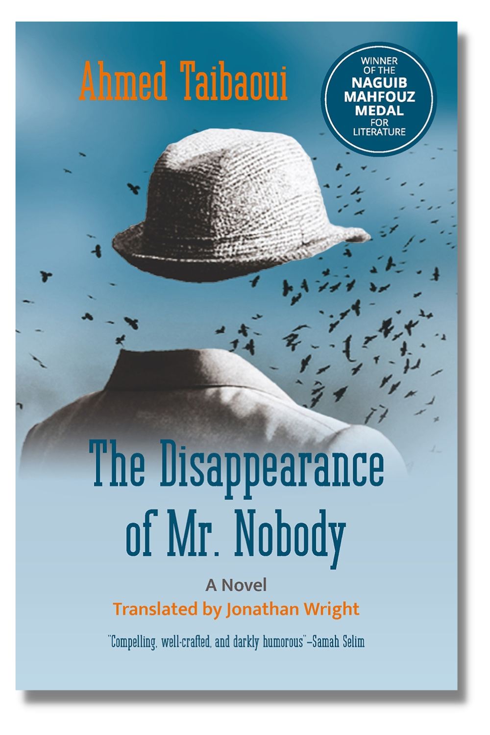 The cover of "The Disappearance of Mr. Nobody"