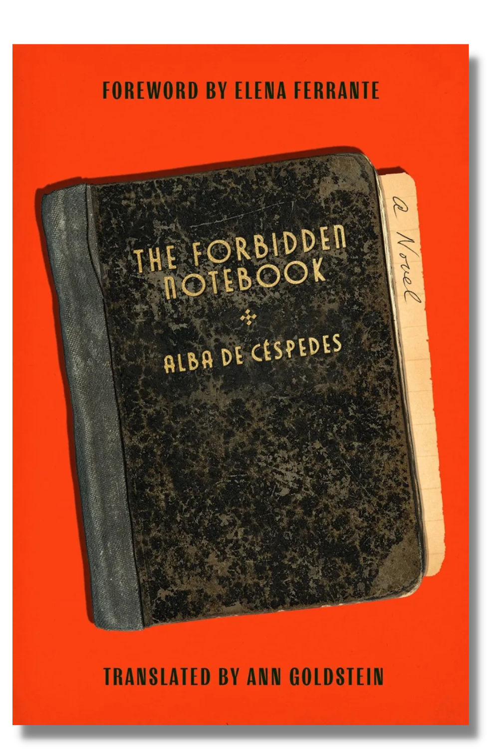 The cover of "The Forbidden Notebook"
