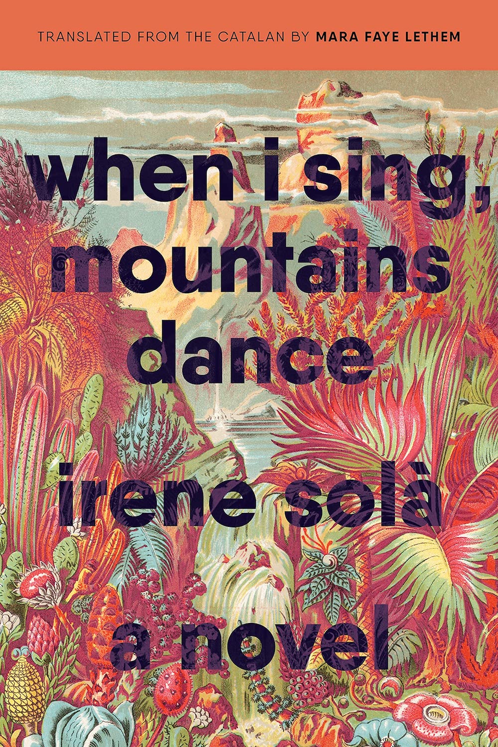 cover for irene sola novel when i sing mountains dance title imposed over lush tropical and desert vegatation leading to snowy mountaincap