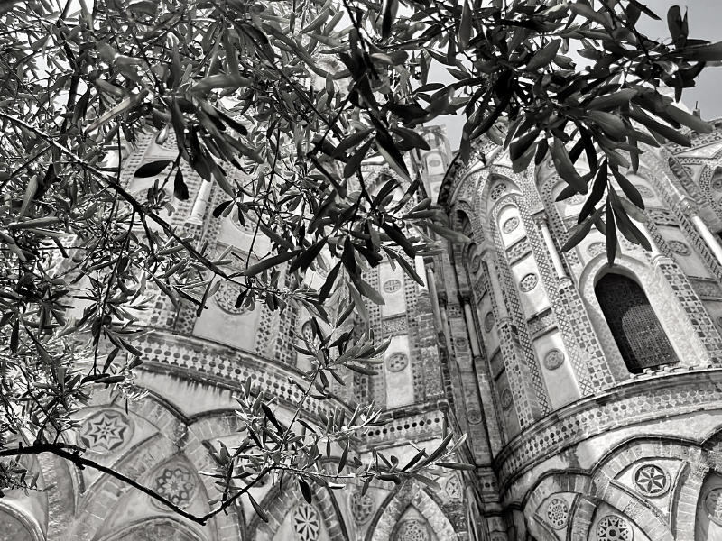 A view of the Palermo cathedral through tree branches