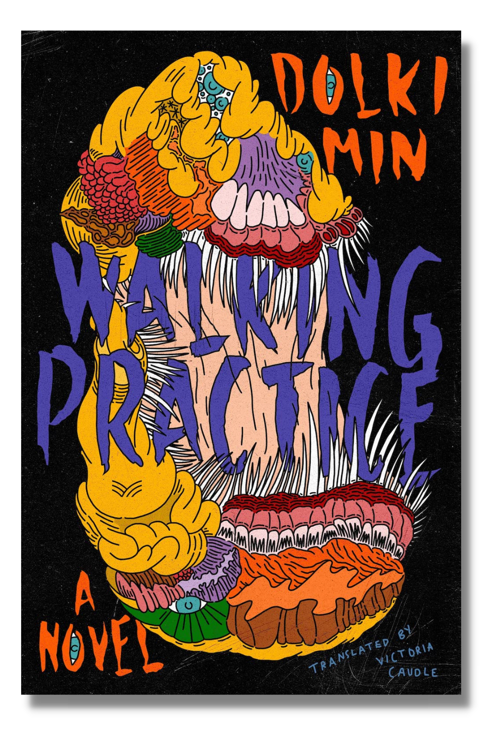 The cover of "Walking Practice"