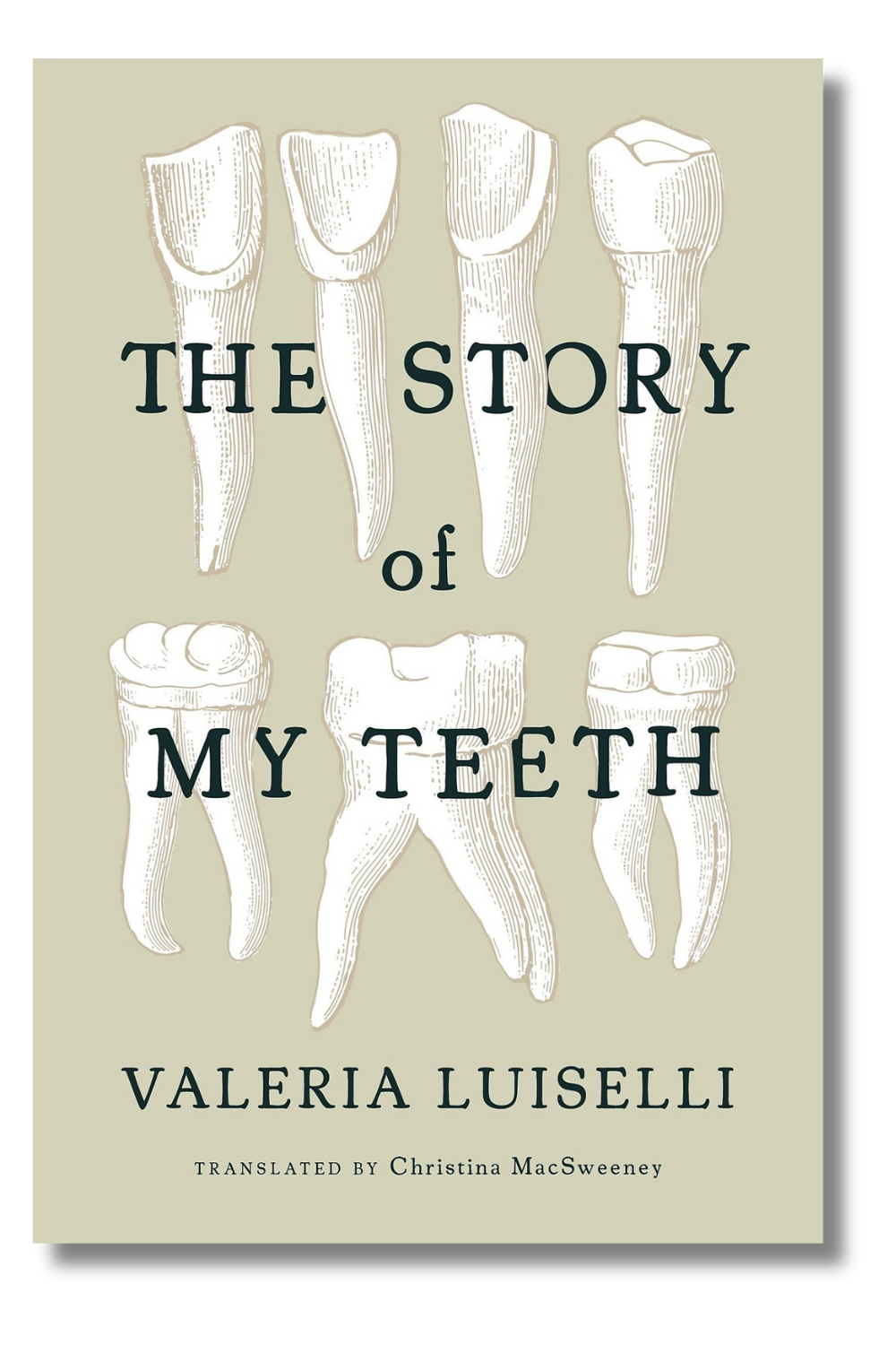 The cover of "The Story of My Teeth" by Valeria Luiselli