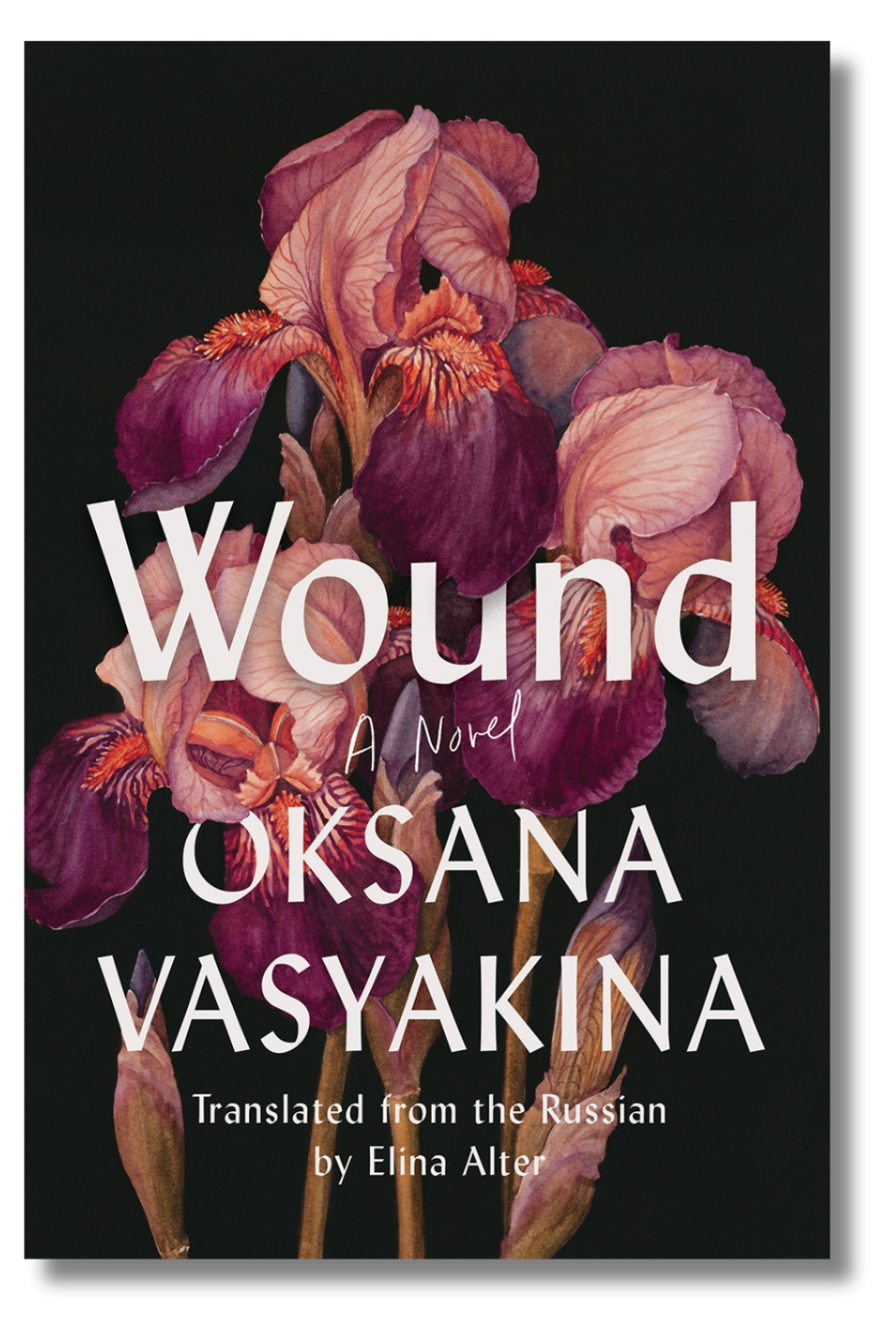The cover of "Wound" by Oksana Vasyakina, translated by Elina Alter