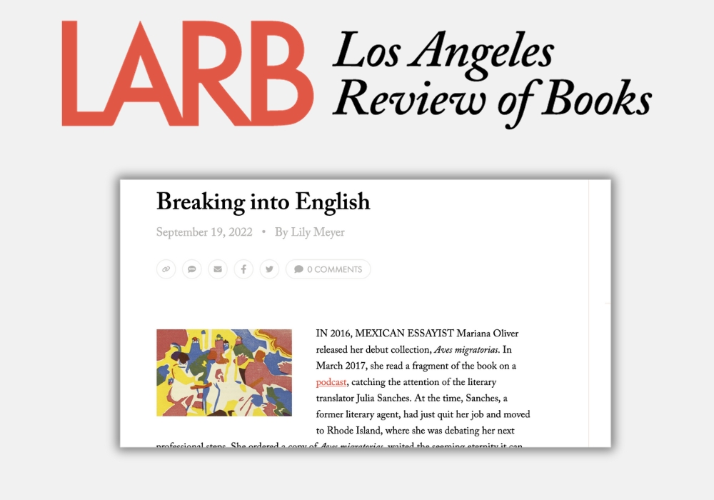 Image of The New York Times Book Review feature on international literature magazine Words Without Borders