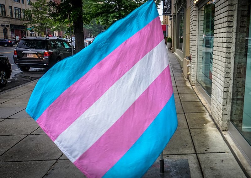 A transgender pride flag flies on a sidewalk.