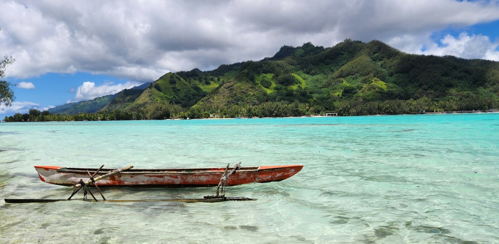 The Lagoon of Languages - Words Without Borders