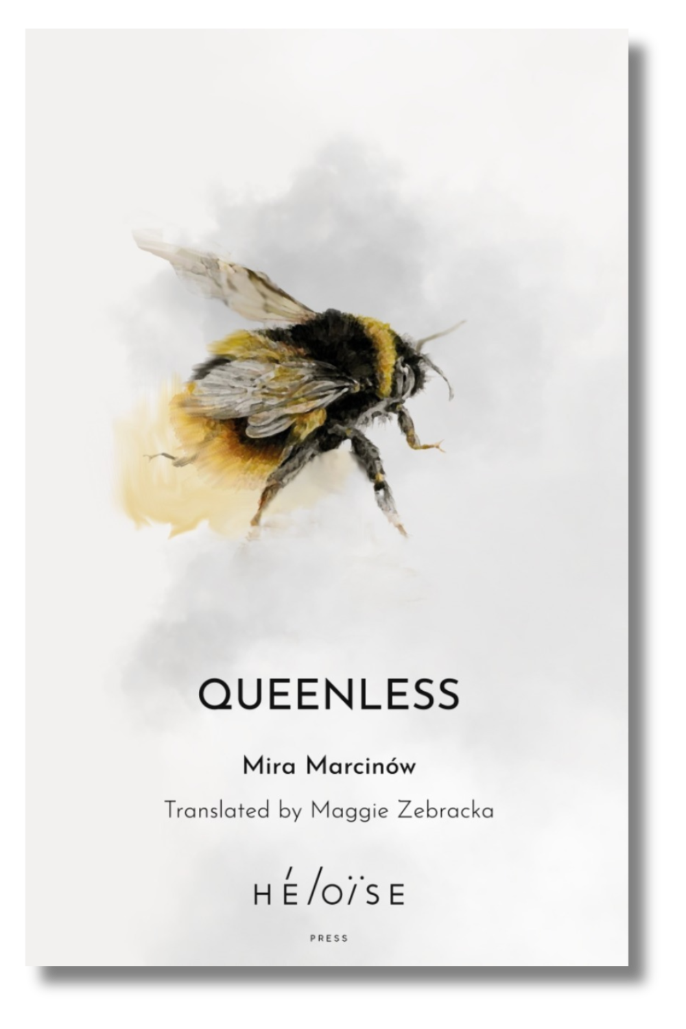 The cover of "Queenless" by Mira Marcinow, translated by Maggie Zebracka