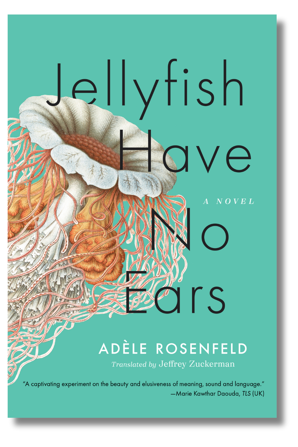 The cover of "Jellyfish Have No Ears" by Adele Rosenfeld, tr. Jeffrey Zuckerman