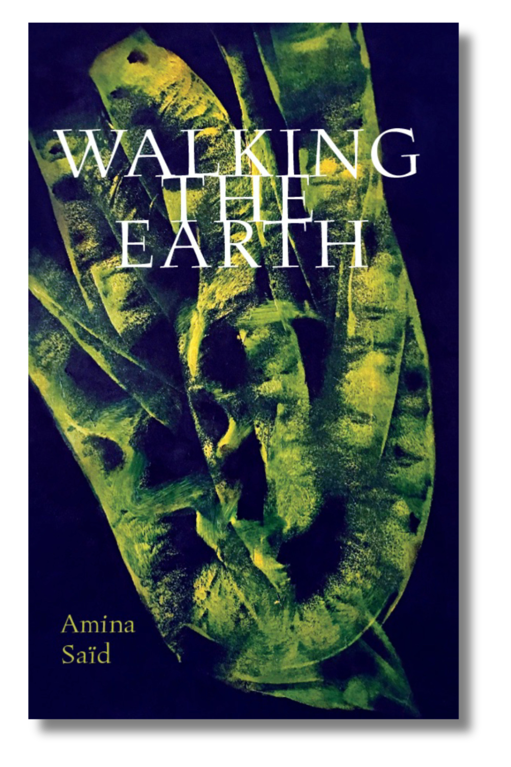 The cover of "Walking the Earth" by Amina Saïd, tr. Peter Thompson