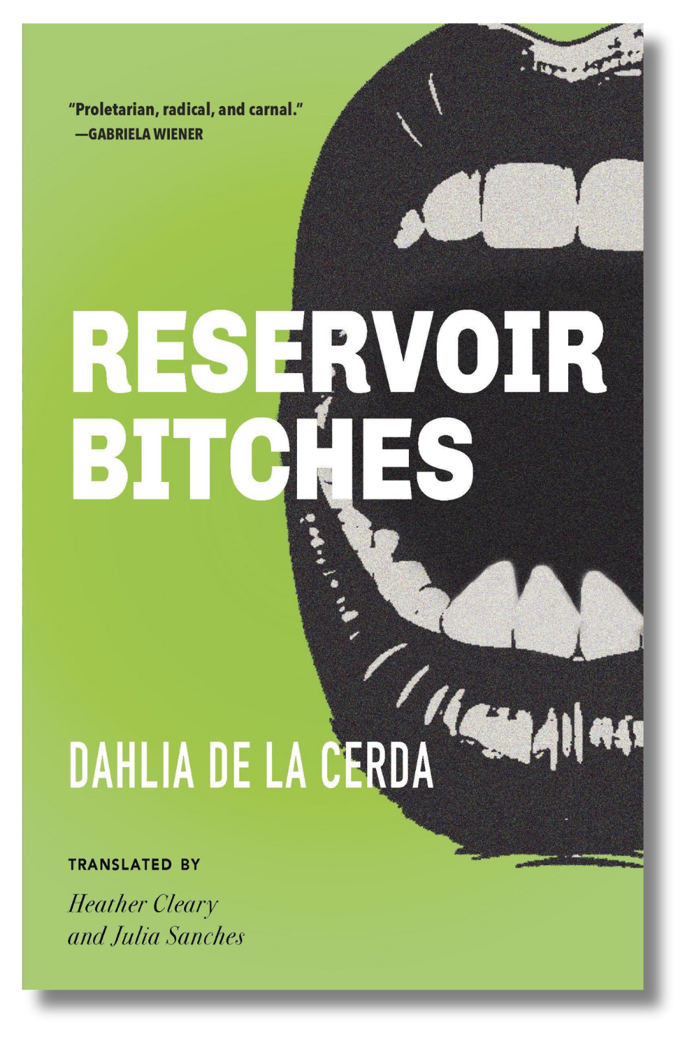 The cover of "Reservoir Bitches" by Dahlia de la Cerda, tr. Heather Cleary and Julia Sanches