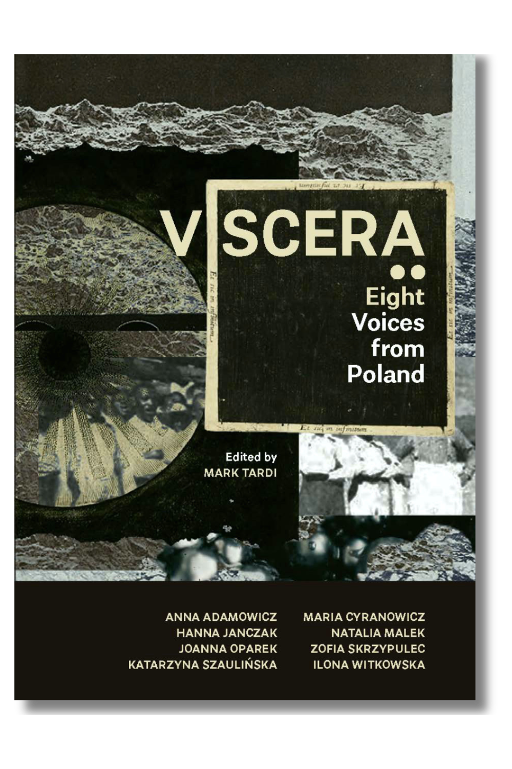 The cover of "Viscera: Eight Voices from Poland," edited by Mark Tardi