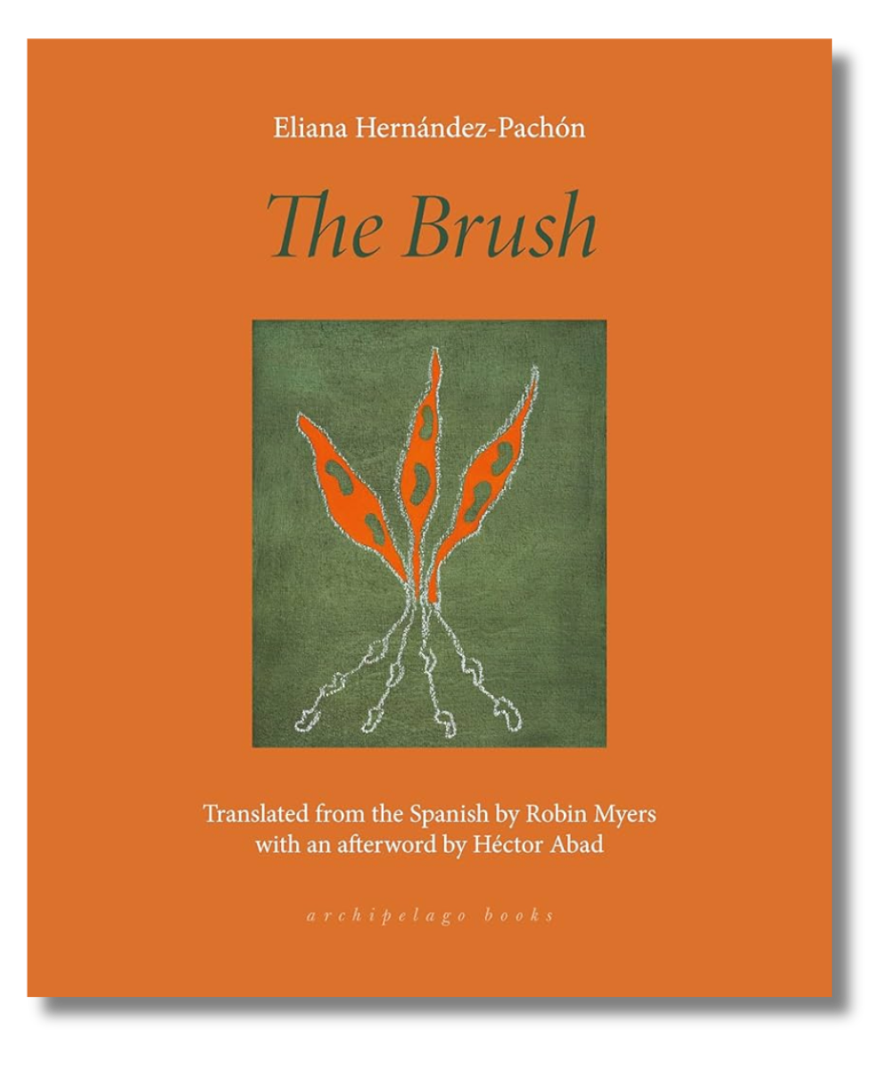 The cover of "The Brush" by Eliana Hernández-Pachón, tr. by Robin Myers